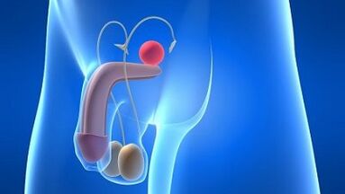 Lubrication in men while exciting what is