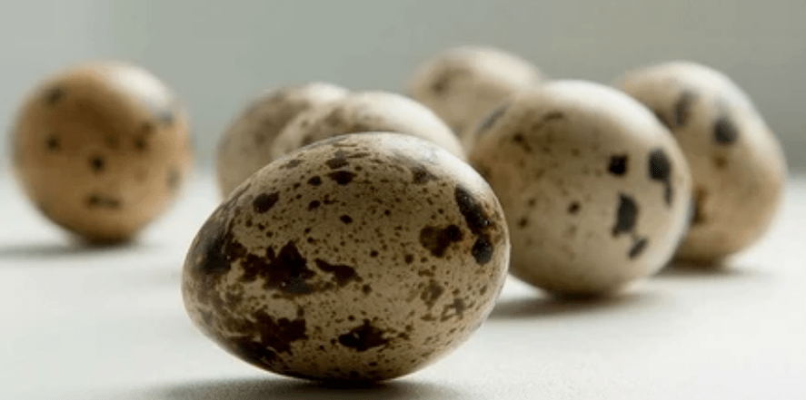 Quail eggs for power